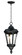 Sentry One Light Outdoor Hanging Lantern in Black (16|3058WGBK)