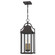 Manning Three Light Outdoor Hanging Lantern in Western Bronze (10|MAN1911WT)