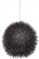 Urchin One Light Pendant in Black (137|169P01BL)