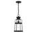 Quinton One Light Hanging Lantern in Matte Black (159|V6-L5-2943-BK)