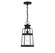 Quinton One Light Outdoor Hanging Lantern in Matte Black (159|V6-L5-2943-BK)