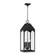 Burton Four Light Outdoor Hanging Lantern in Black (65|946342BK)