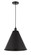 Edison One Light Mini Pendant in Matte Black (405|616-1P-BK-MBC-16-BK)