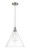 Edison One Light Pendant in Brushed Satin Nickel (405|616-1P-SN-GBC-162)