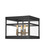 Porter LED Hanging Lantern in Black (13|2803BK)