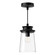 Quincy One Light Exterior Pendant in Clear Bubble Glass/Textured Black (452|EP533006BKCB)