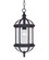 Kensington One Light Hanging Lantern in Textured Black (51|5-0631-BK)