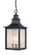 Monte Grande Three Light Hanging Lantern in Slate (51|5-256-25)