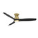 Skylark 54''Ceiling Fan in Soft Brass/Matte Black (441|FH-W2202-54L35SBMB)