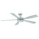 Wynd 60'' Ceiling Fan in Stainless Steel (441|FR-W1801-60L-35-SS)