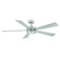 Wynd 60''Ceiling Fan in Stainless Steel (441|FR-W1801-60L-SS)