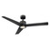 Lotus 54''Ceiling Fan in Bronze (441|FR-W1809-54L-BZ)