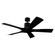 Aviator 5 54'' Ceiling Fan in Matte Black (441|FR-W1811-5-MB)