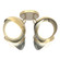 Brooklyn Brooklyn 4-Light Double Shade Semi-Flush in Modern Brass (39|121376-SKT-86-85-GG0711)