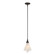 Mobius Mobius Mini Pendant in Oil Rubbed Bronze (39|184530-SKT-MULT-14-SH1987)