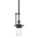 Erlenmeyer One Light Mini Pendant in Black (39|187100-SKT-MULT-10-ZM0343)