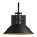 Henry One Light Outdoor Wall Sconce in Coastal Black (39|302710-SKT-80)