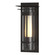 Torch One Light Outdoor Wall Sconce in Coastal Oil Rubbed Bronze (39|305996-SKT-14-ZS0654)