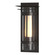 Torch One Light Outdoor Wall Sconce in Coastal Oil Rubbed Bronze (39|305998-SKT-14-ZS0656)