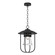 Erlenmeyer One Light Outdoor Pendant in Coastal Black (39|356010-SKT-80-ZM0467)