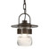 Mason LED Outdoor Ceiling Fixture in Coastal Oil Rubbed Bronze (39|363003-SKT-14-ZM0448)
