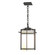 Tourou One Light Outdoor Ceiling Fixture in Coastal Natural Iron (39|366007-SKT-20-GG0112)