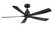 Kute5 52 52'' Ceiling Fan in Black (26|FPD5534BL)