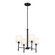 Ali Four Light Chandelier in Black (12|52504BK)