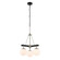Allie Three Light Chandelier in Black/Polished Nickel (137|352C03BLPN)