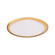 Plate in Food-Safe, Clear Glass, Gold Foil, Clear Glass, Gold Foil (45|PLT05)