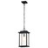 Sullivan One Light Outdoor Hanging Lantern in Matte Black (72|60-7377)