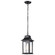 Stillwell One Light Outdoor Hanging Lantern in Matte Black (72|60-5958)