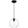 Clarity LED Pendant in Black (18|29011LEDDLP-BL/CLR)
