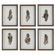 Birds Of A Feather Framed Prints, S/6 in Natural Wood Tone (52|41460)