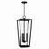 Elliott Three Light Outdoor Hanging Lantern in Black (65|948132BK)