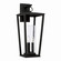 Elliott Three Light Outdoor Wall Lantern in Black (65|948131BK)