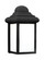 Mullberry Hill One Light Outdoor Wall Lantern in Black (1|8988EN3-12)