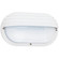 Bayside One Light Outdoor Wall Lantern in White (1|89805-15)