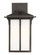 Tomek One Light Outdoor Wall Lantern in Antique Bronze (1|8652701EN3-71)