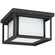 Hunnington Two Light Outdoor Flush Mount in Black (1|79039-12)