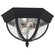 Wynfield Two Light Outdoor Flush Mount in Black (1|78136-12)