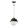 Duke One Light Pendant in Black/Weathered Brass (16|12411SWBKWBR)