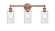 Edison Three Light Bath Vanity in Antique Copper (405|616-3W-AC-G802)
