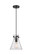 Downtown Urban One Light Pendant in Matte Black (405|410-1PS-BK-G411-8SDY)