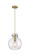 Newton One Light Mini Pendant in Brushed Brass (405|410-1PM-BB-G410-10SDY)