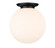 Essex One Light Flush Mount in Matte Black (405|221-1F-BK-G201-18)