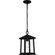 Satterfield One Light Outdoor Hanging Lantern in Matte Black (10|SAT1909MBK)