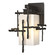 Tura One Light Outdoor Wall Sconce in Coastal Oil Rubbed Bronze (39|302580-SKT-14-GG0111)