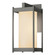 Cela One Light Outdoor Wall Sconce in Coastal Natural Iron (39|302021-SKT-20-GG0730)
