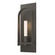 Triomphe Triomphe 1-Light Sconce in Dark Smoke (39|201070-SKT-07-07-FD0462)